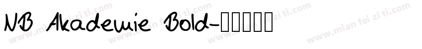 NB Akademie Bold字体转换